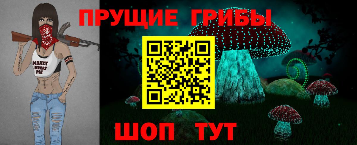 Псилоцибиновые грибы GOLDEN TEACHER  Вход с VPN  Шали 